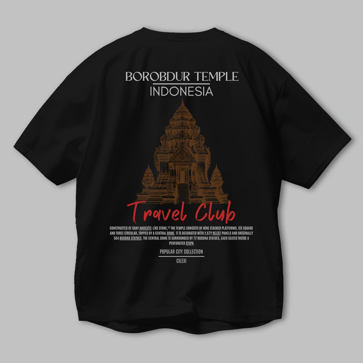 Borobdur Temple İndonesia Arka Baskılı Oversize t-shirt Erkek Kadın Pamuk Bisiklet Yaka tişort