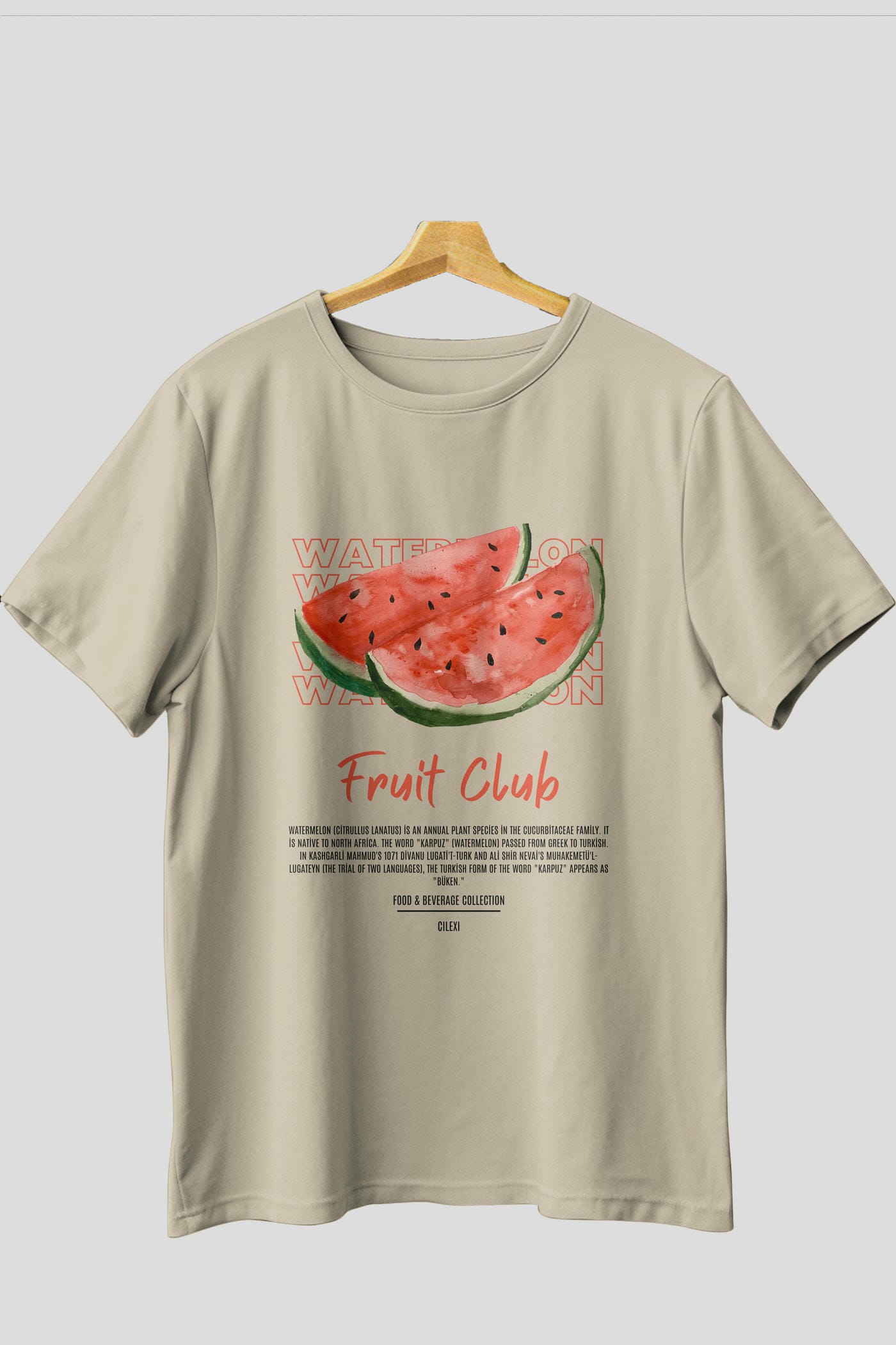 Watermelon Ön Baskılı Oversize t-shirt Erkek Kadın Pamuk Bisiklet Yaka tişort