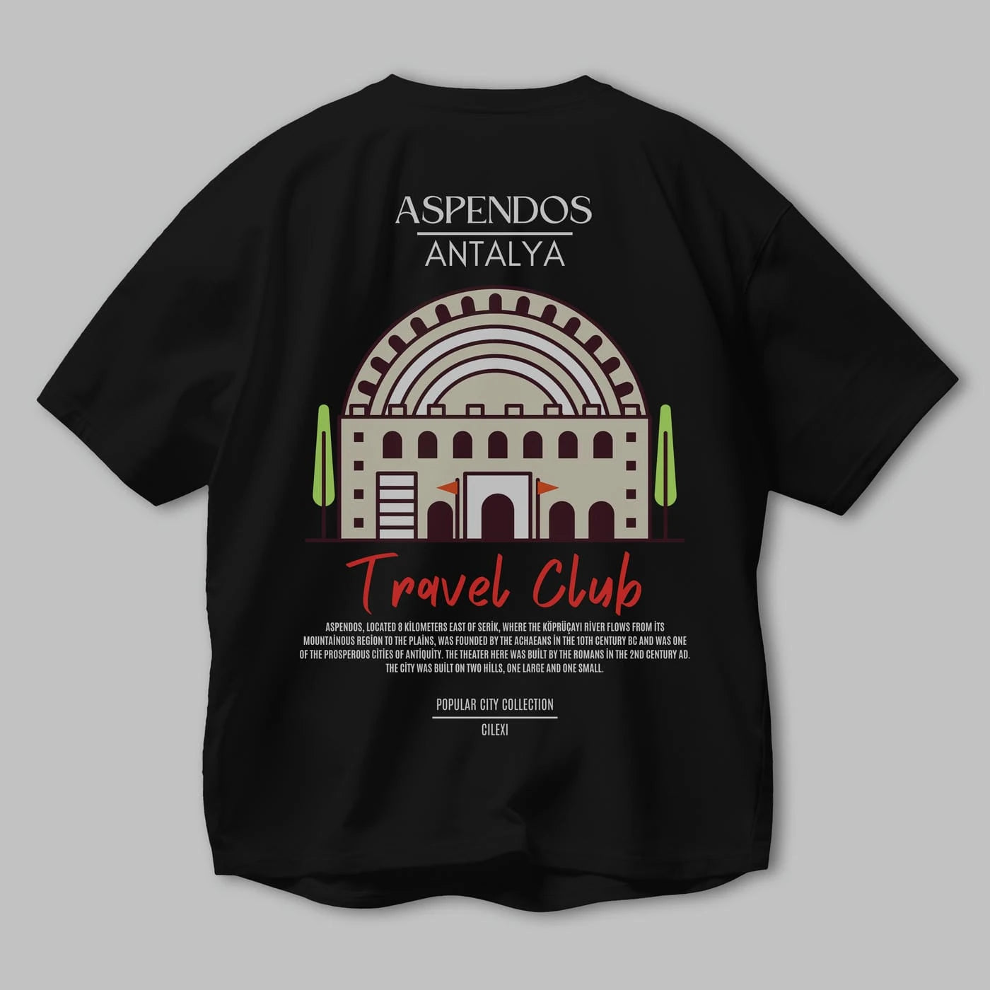 Aspendos Antalya Arka Baskılı Oversize t-shirt Erkek Kadın Pamuk Bisiklet Yaka tişort