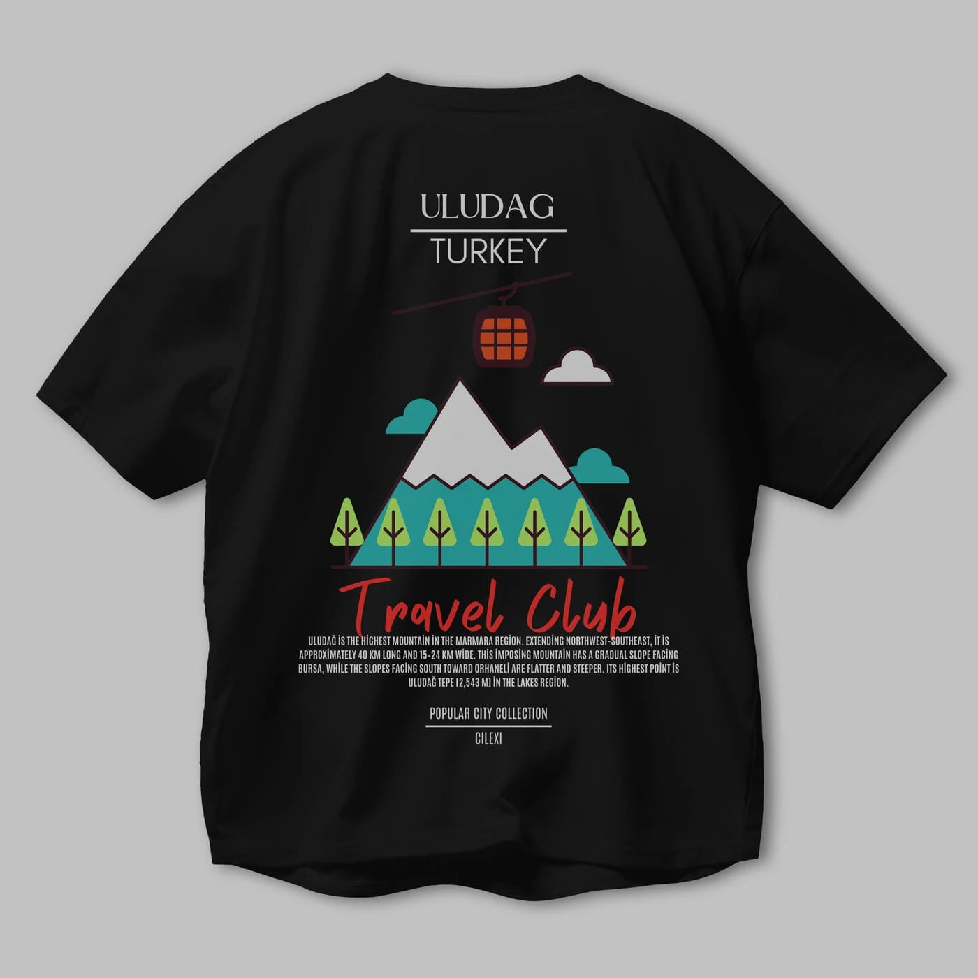 Uludağ Turkey Arka Baskılı Oversize t-shirt Erkek Kadın Pamuk Bisiklet Yaka tişort