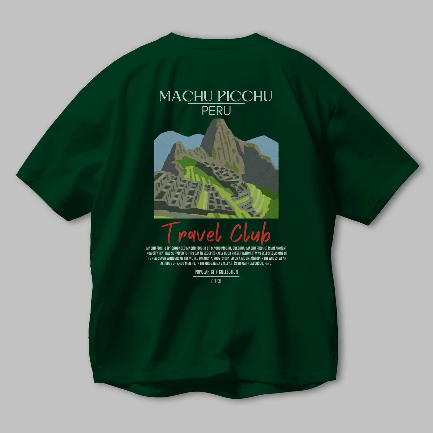 Machu Picchu Peru Arka Baskılı Oversize t-shirt Erkek Kadın Pamuk Bisiklet Yaka tişort