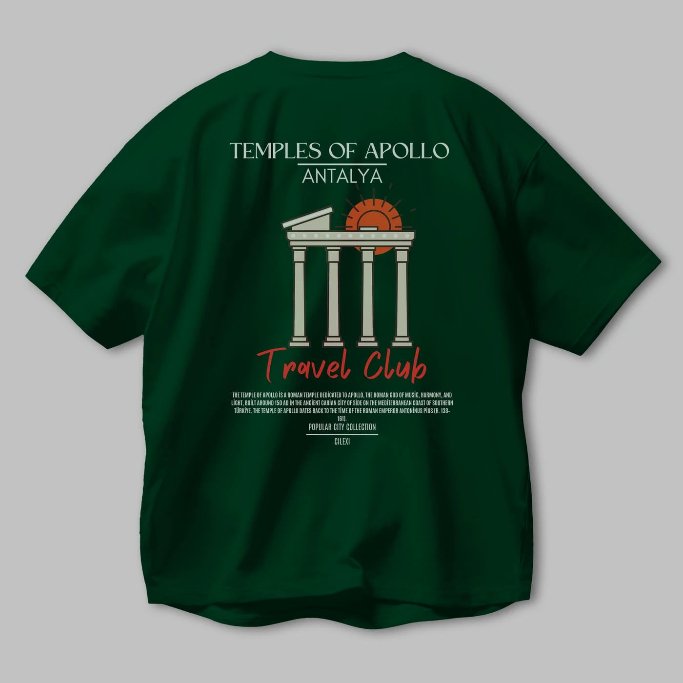 Temples Of Apollo Antalya Arka Baskılı Oversize t-shirt Erkek Kadın Pamuk Bisiklet Yaka tişort