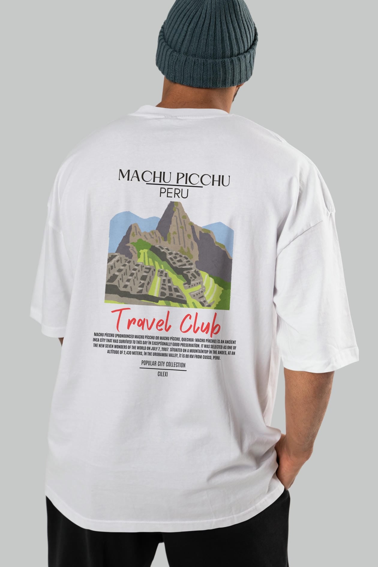 Machu Picchu Peru Arka Baskılı Oversize t-shirt Erkek Kadın Pamuk Bisiklet Yaka tişort