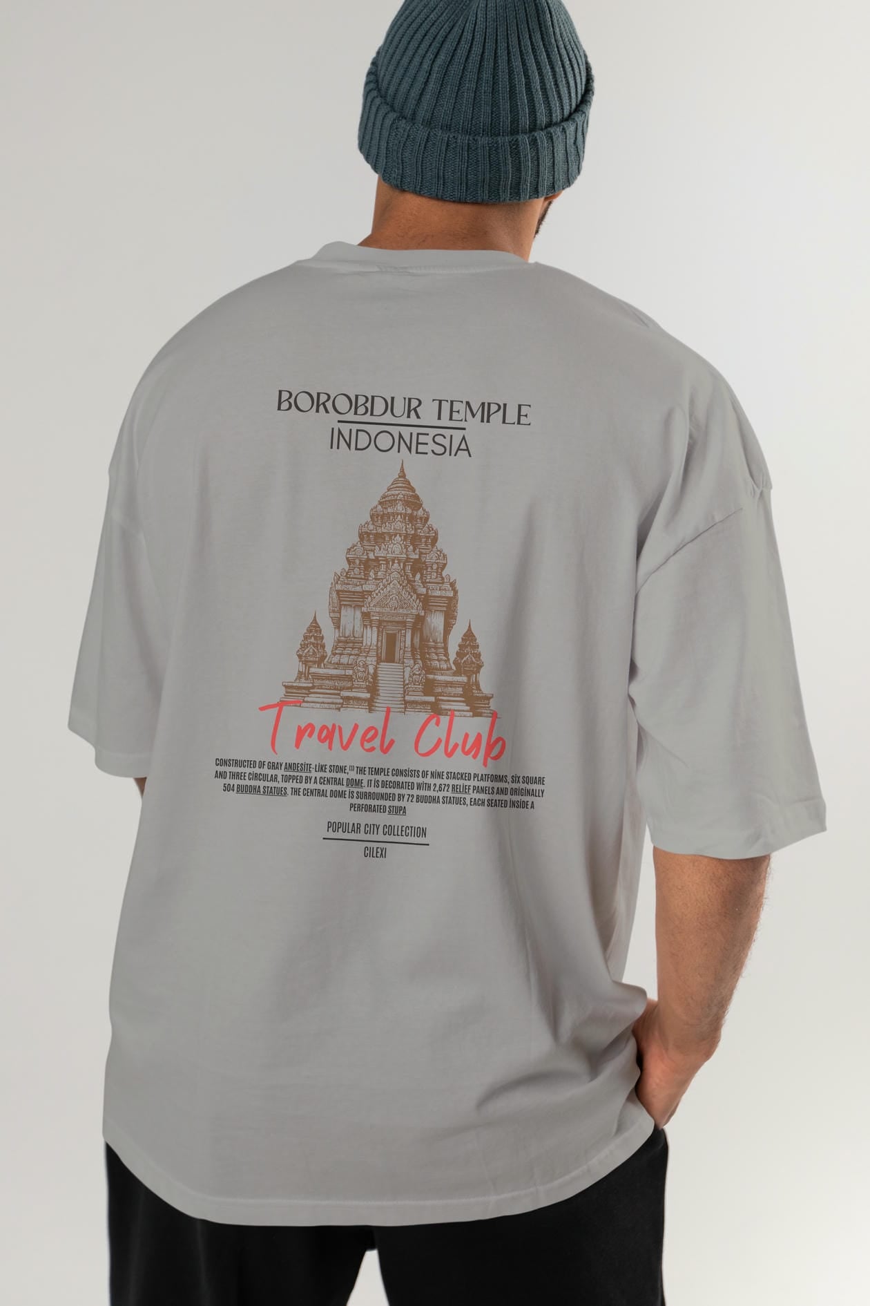 Borobdur Temple İndonesia Arka Baskılı Oversize t-shirt Erkek Kadın Pamuk Bisiklet Yaka tişort