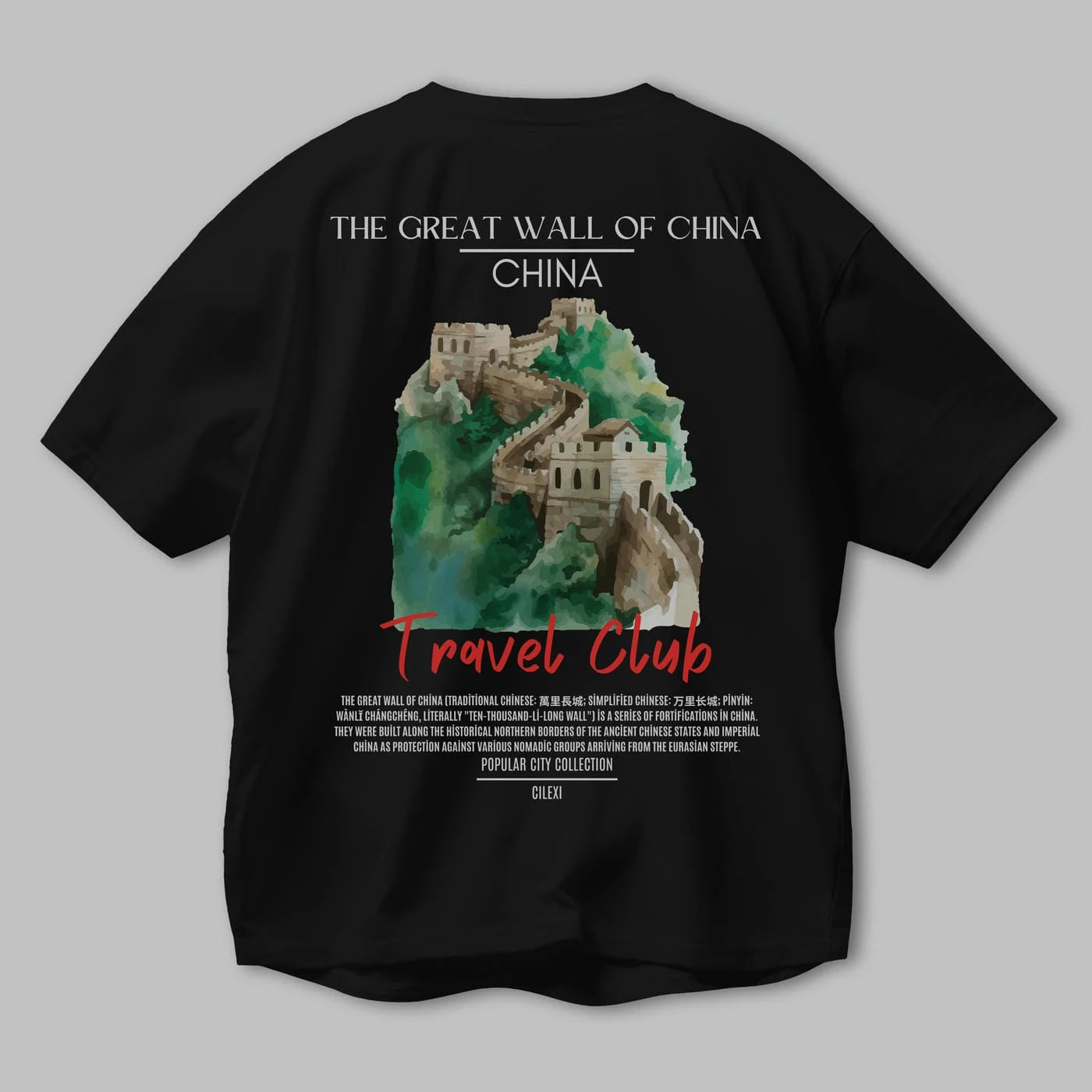 The Great Wall Of China Arka Baskılı Oversize t-shirt Erkek Kadın Pamuk Bisiklet Yaka tişort