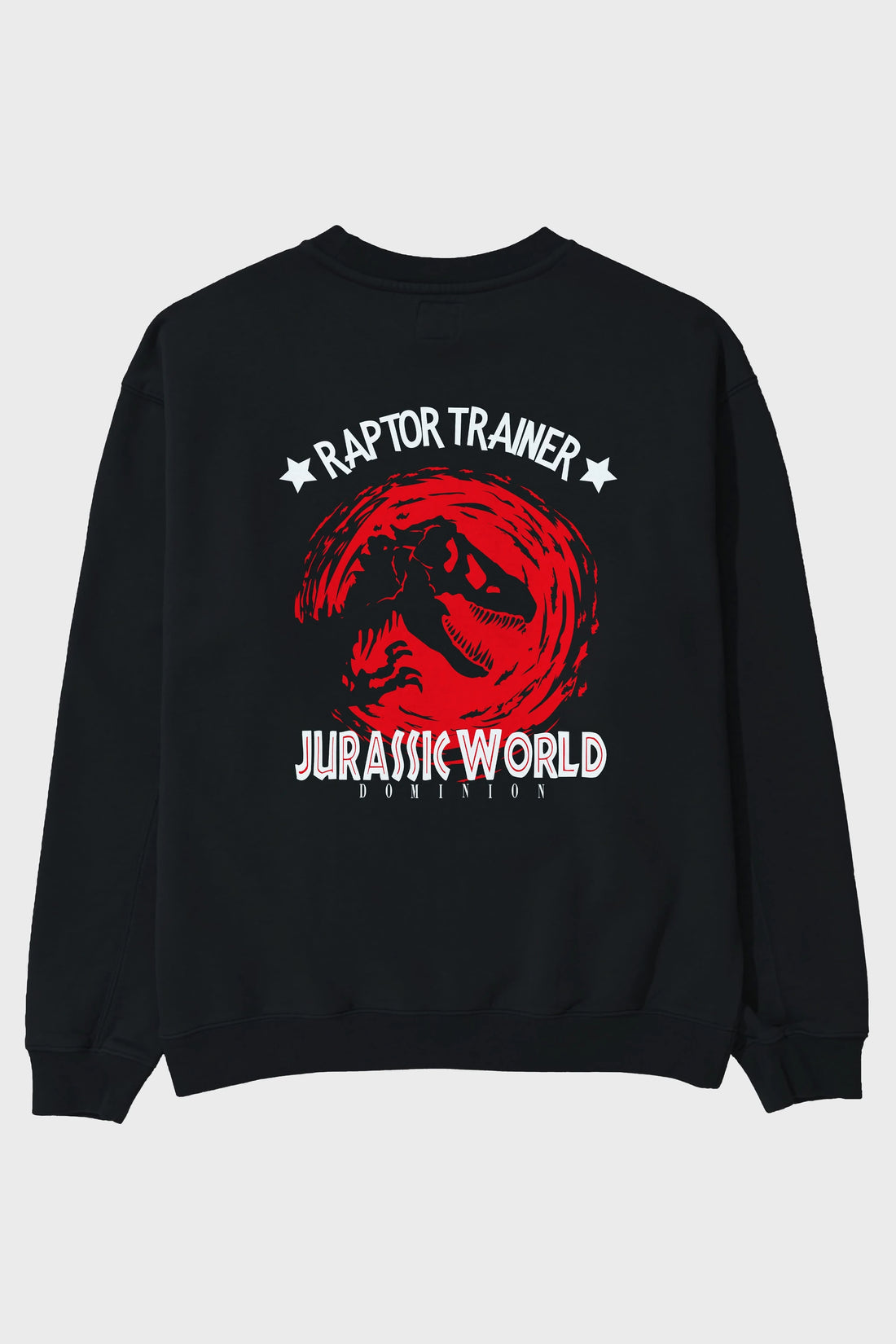 Jurassic Park (3) Arka Baskılı Oversize Sweatshirt Erkek Kadın Unisex