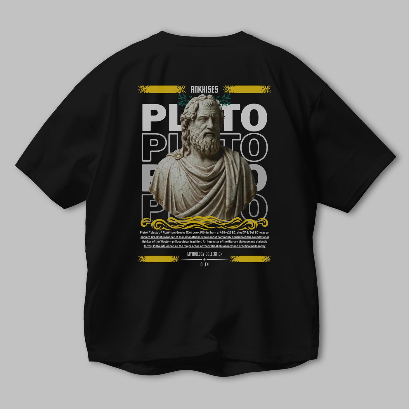 Plato 2 Arka Baskılı Oversize t-shirt Erkek Kadın %100 Pamuk Bisiklet Yaka tişort
